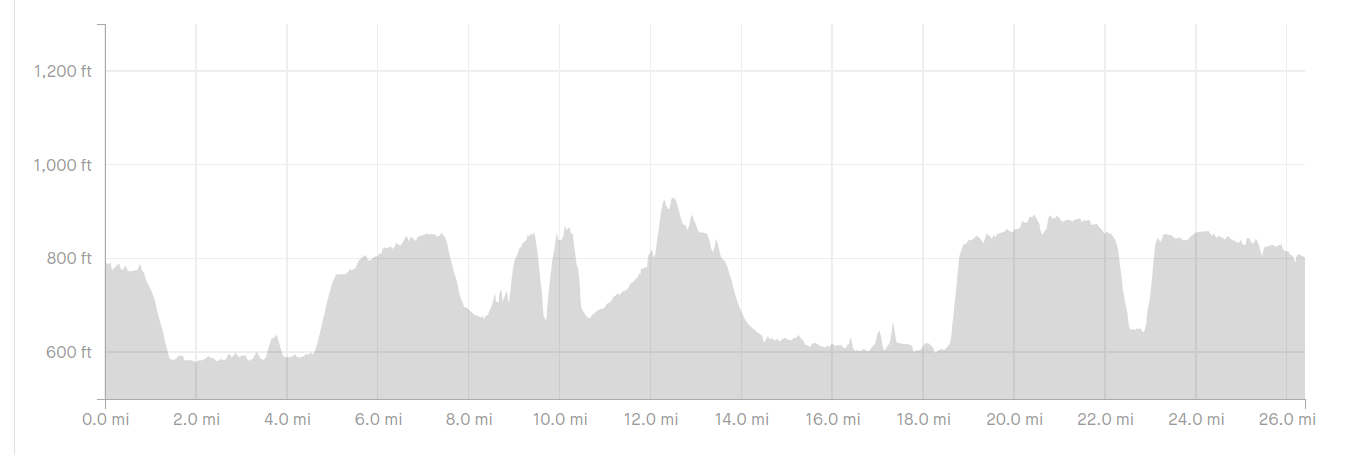 How I ended up running 5 marathons in 5 weeks in the spring of 2020, and even more in the fall