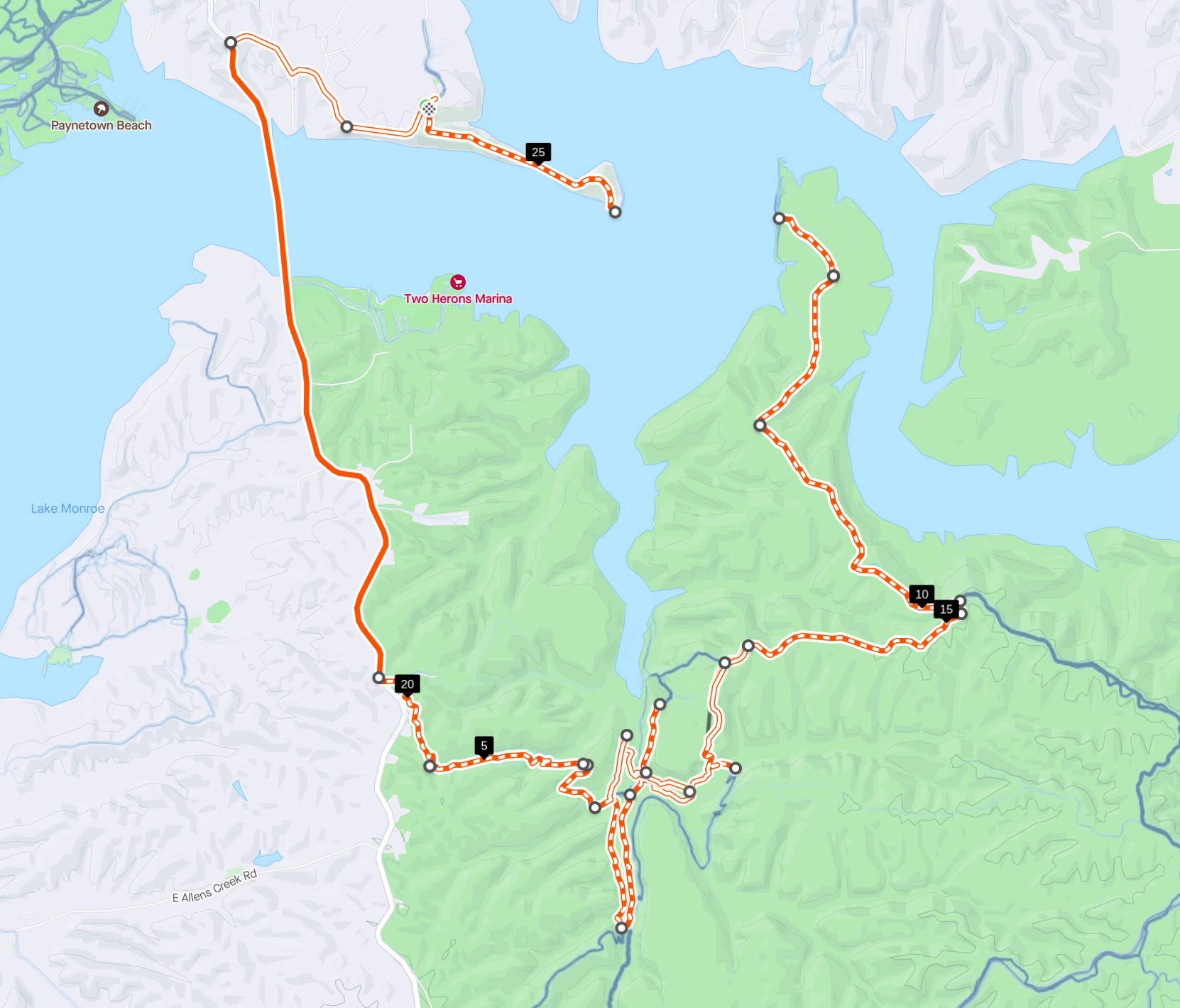 How I ended up running 5 marathons in 5 weeks in the spring of 2020, and even more in the fall