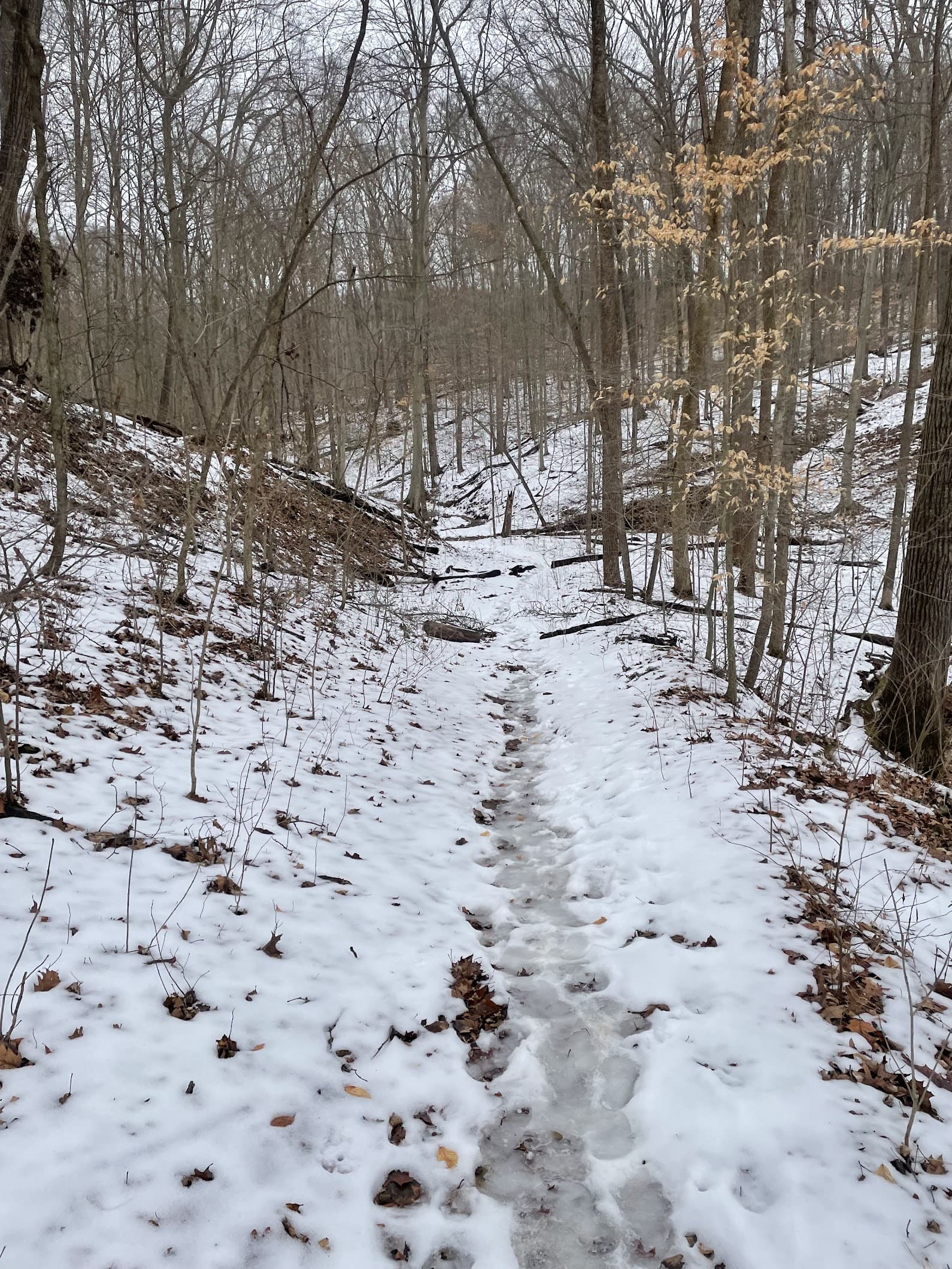 Why I found myself running 50 miles alone in the wintertime