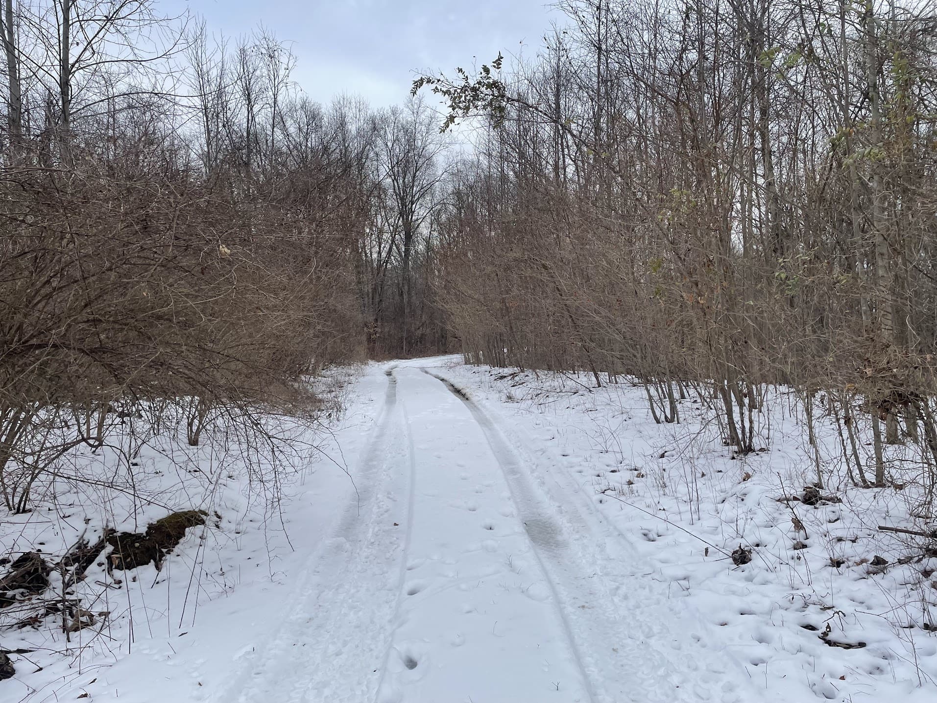 Why I found myself running 50 miles alone in the wintertime