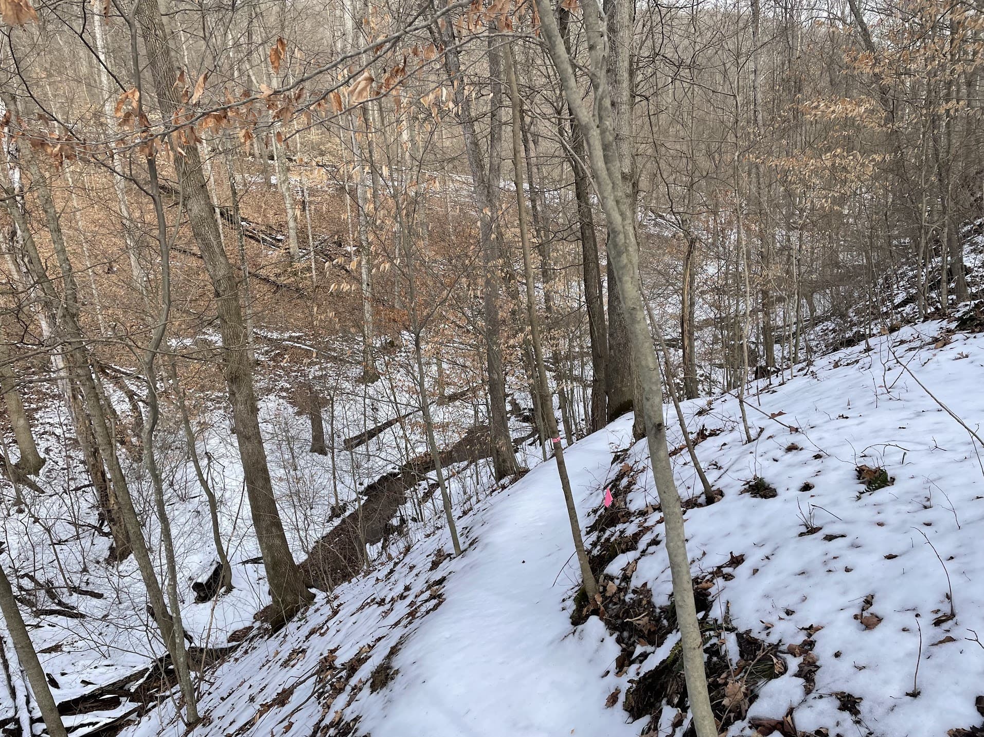 Why I found myself running 50 miles alone in the wintertime