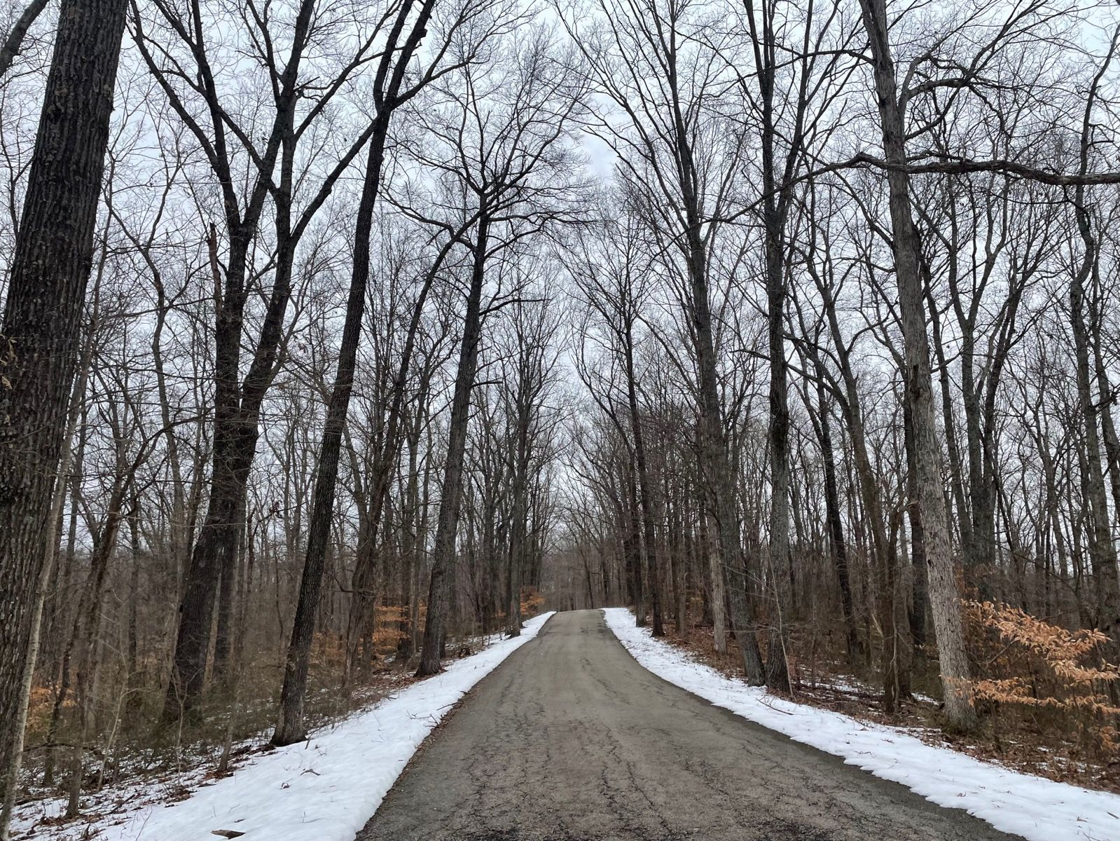Why I found myself running 50 miles alone in the wintertime