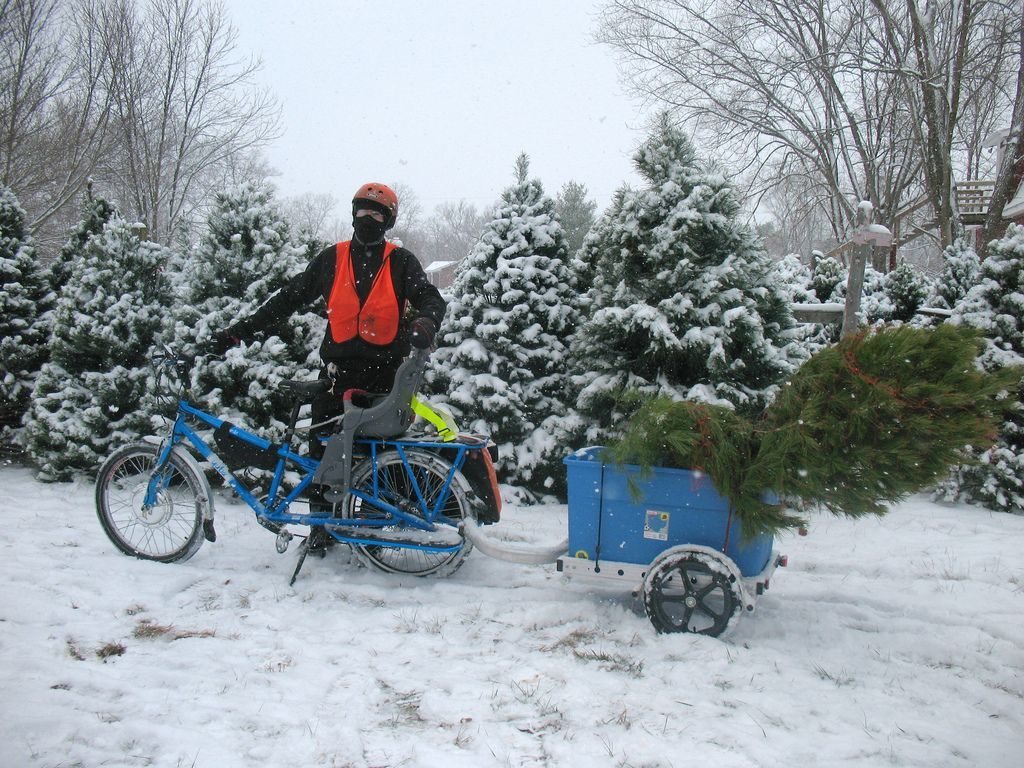 First Christmas tree by bike and the day I bought Bar Mitts