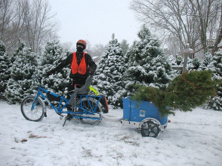 Man standing with cargo bike and trailer with Christmas tree. Snow on ground and Christmas trees in background.