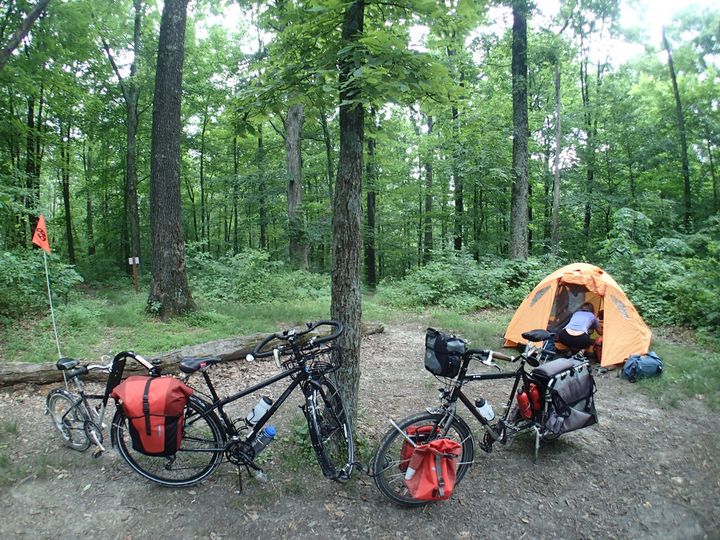 Forest scene with tent in background, two loaded touring bikes in foreground. 