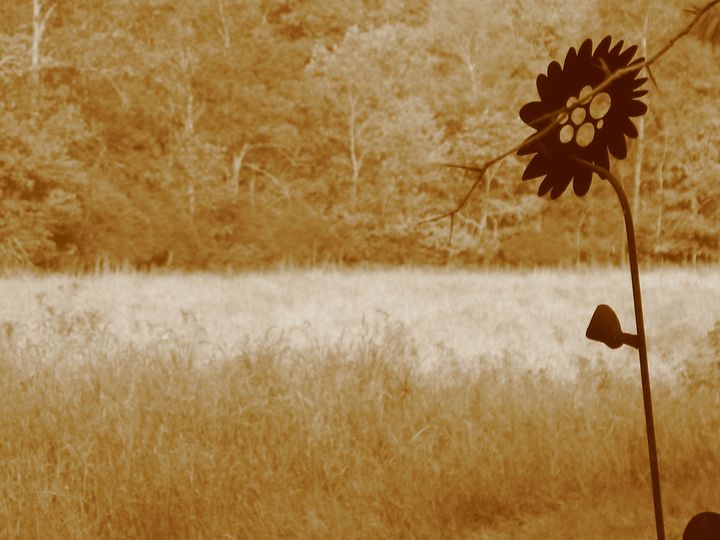 natural tall grass in the foreground, trees in the background. Silhouette of large metal flower in the foreground. 