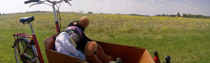 Child-size stuffed animal, Sleep Dog, works as pillow for leaning child in cargo bike next to field.